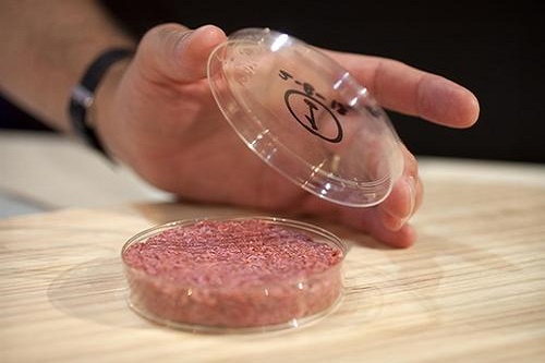 “人造肉”熱潮，未來(lái)將替代60%肉制品？