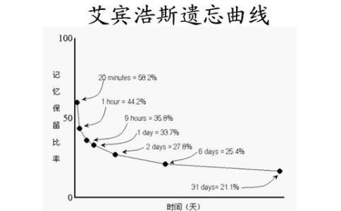 人的記憶曲線圖