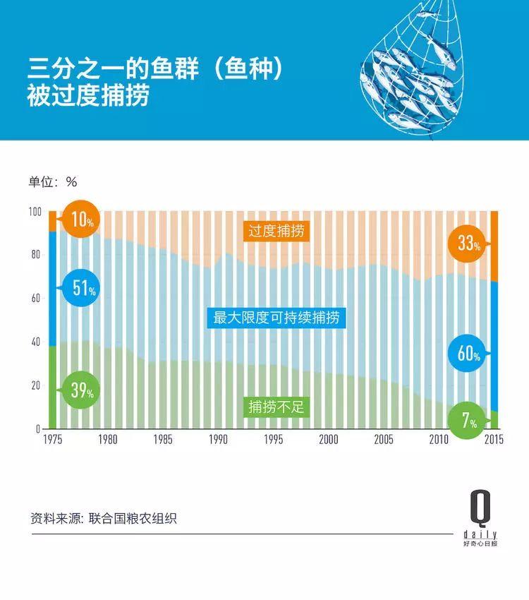 1/3 的魚類正被人過度捕撈，而同時(shí)撈上來的又有 1/3 被丟棄