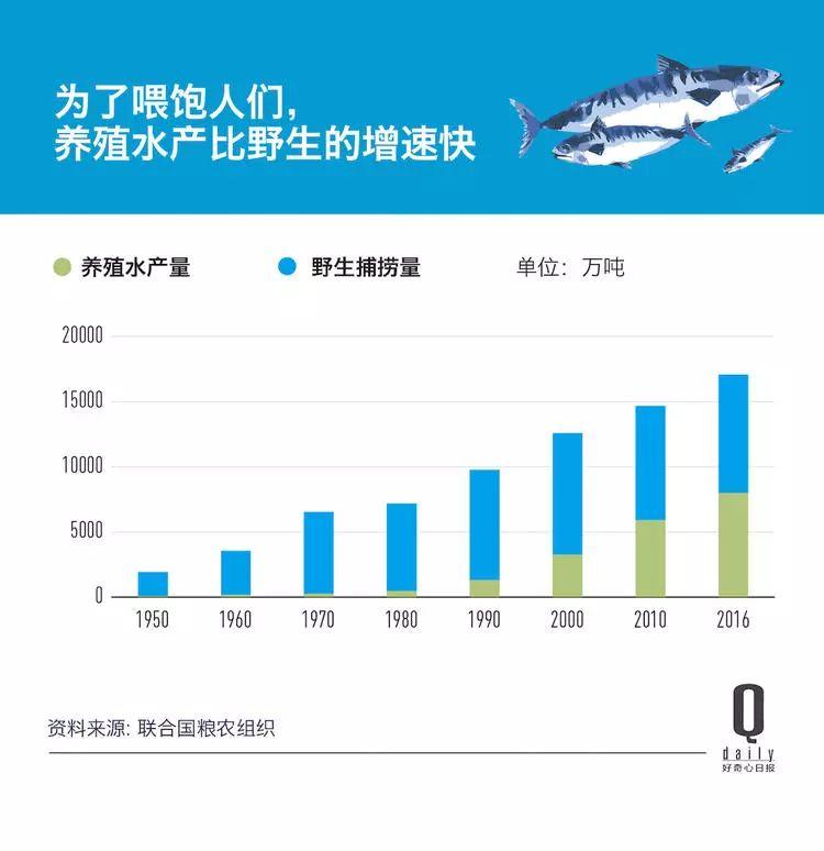 1/3 的魚類正被人過度捕撈，而同時(shí)撈上來的又有 1/3 被丟棄