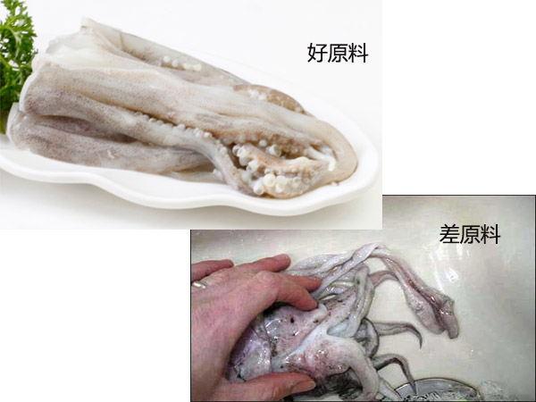 賣鐵板魷魚(yú)一天能掙多少錢