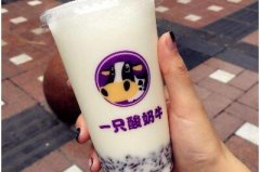 代理一只酸奶牛店費用高嗎 代理要求是什么