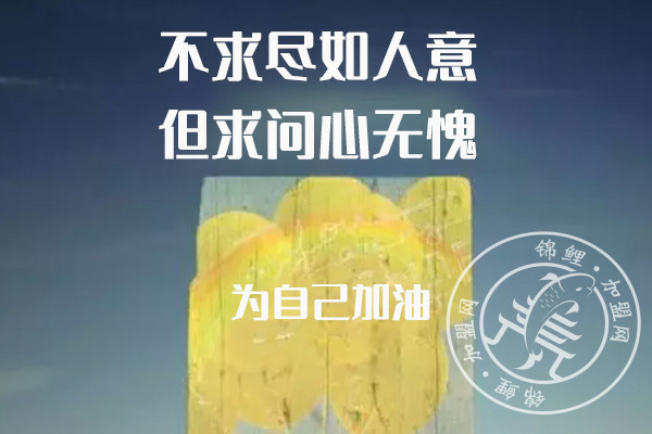 查特熊火鍋食材價格